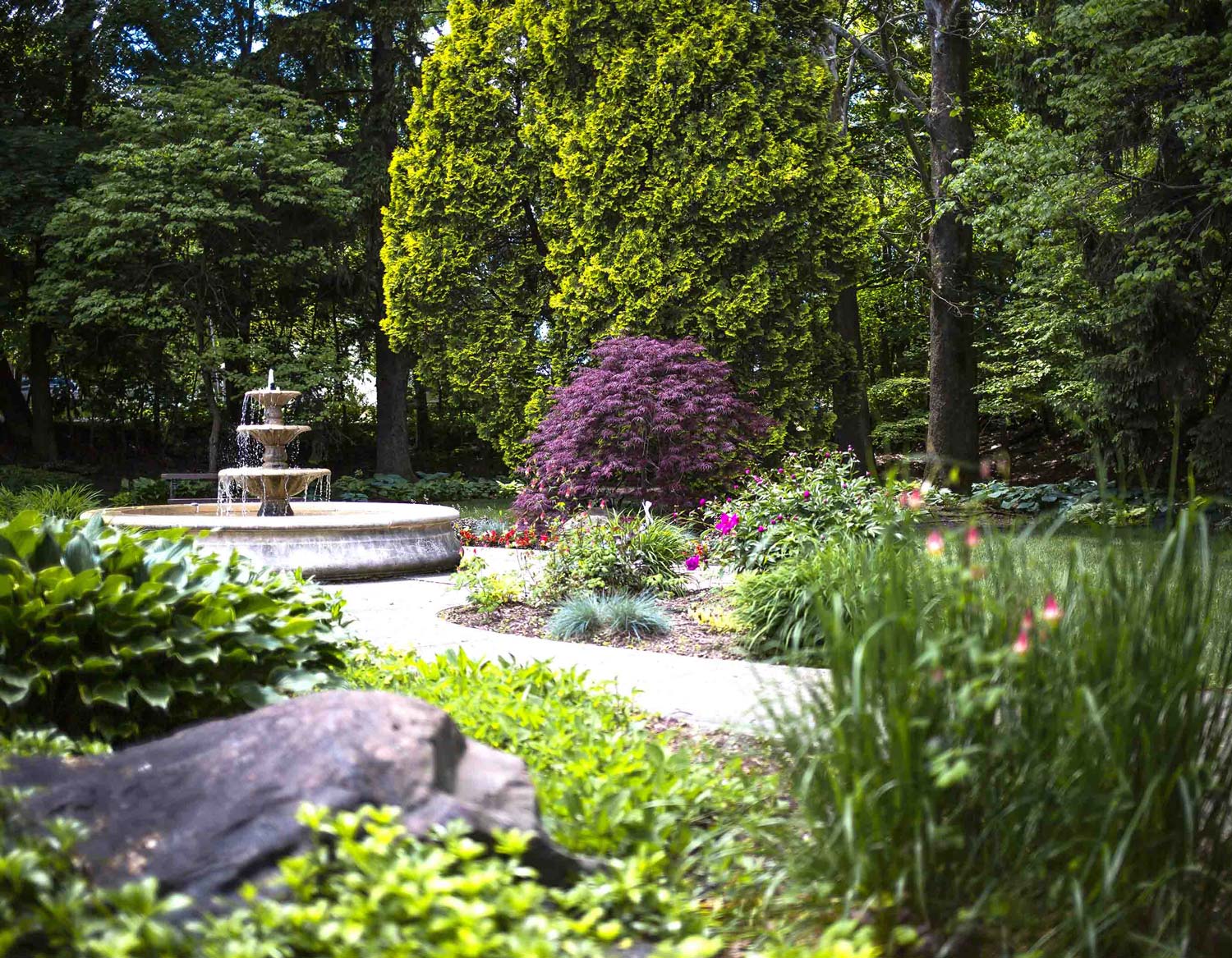 garden full of green trees, bushes, and purple flowers next to a fountain