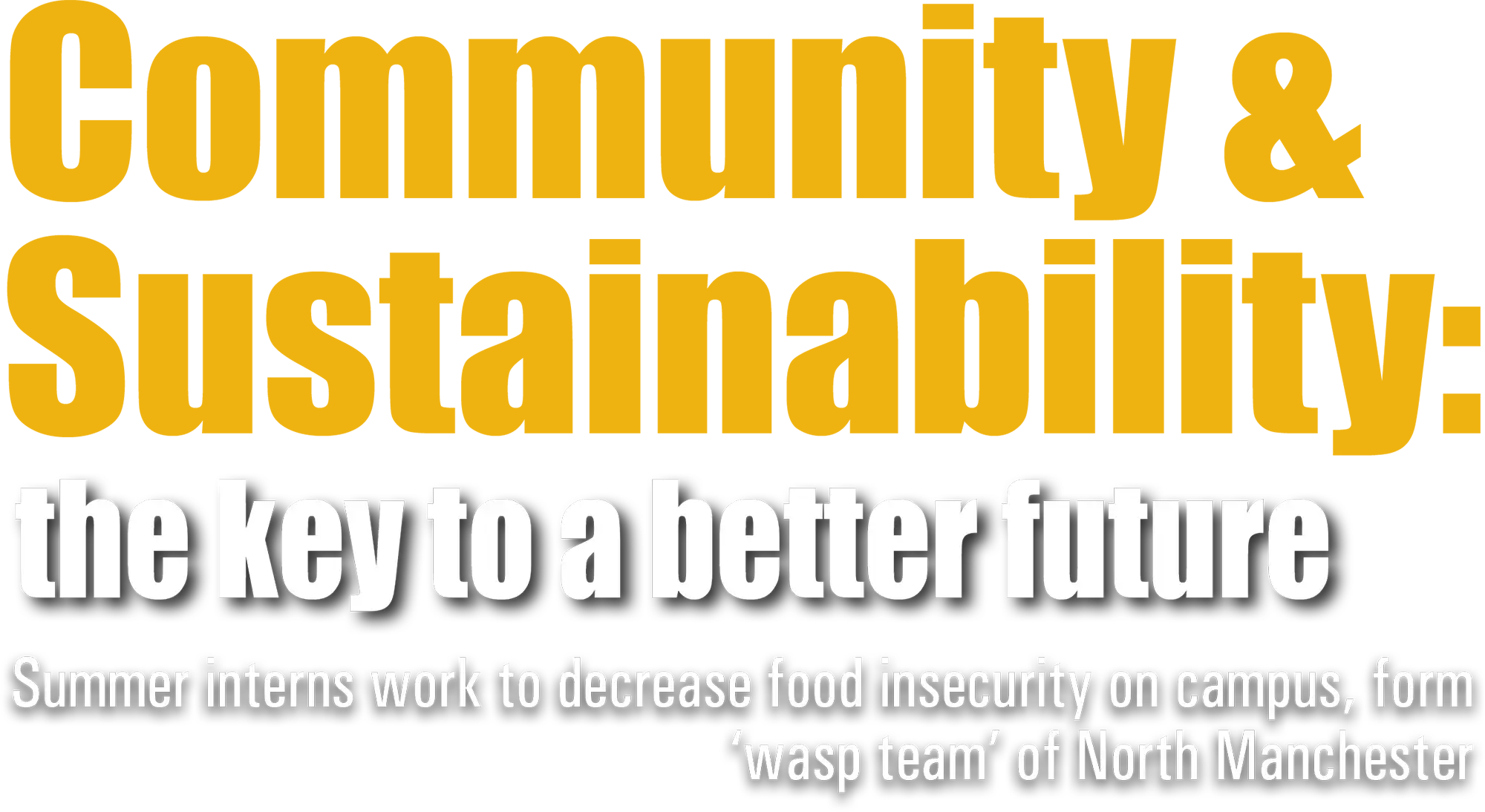 Community and Sustainability, the key to a better future, summer interns work to decrease food insecurity on campus, from wasp team of North Manchester